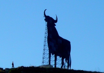 toro_osborne