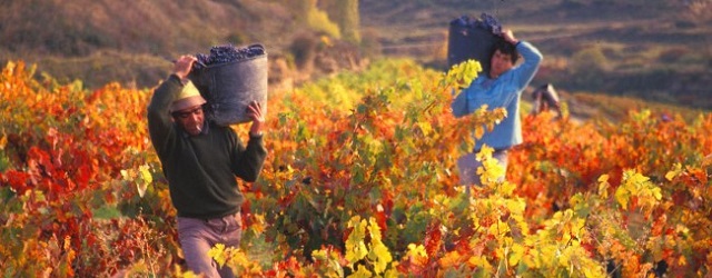 foreign seasonal workers